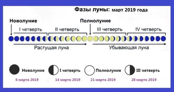 Фазы Луны