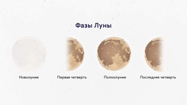 Фаза Луны последняя четверть