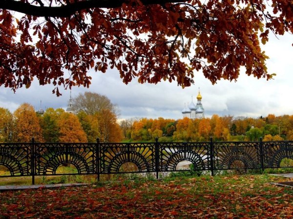 Золотая осень Вологда