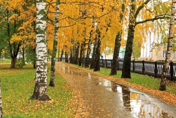 Осень в парке врз Вологда