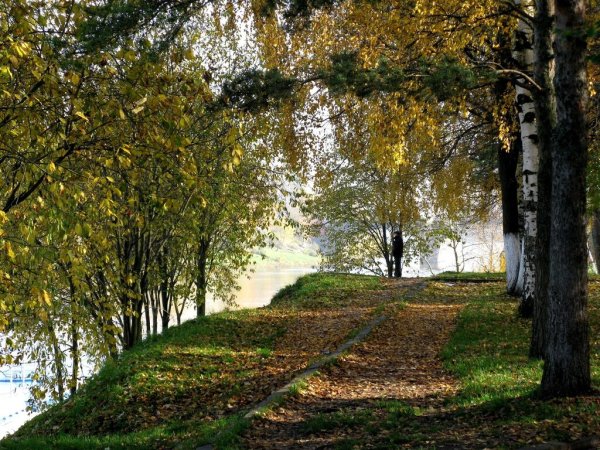 Золотая осень Вологда