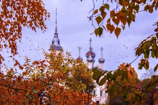 Вологда осень Вологда РФ