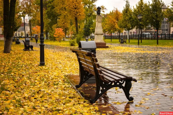 Осенняя Тула