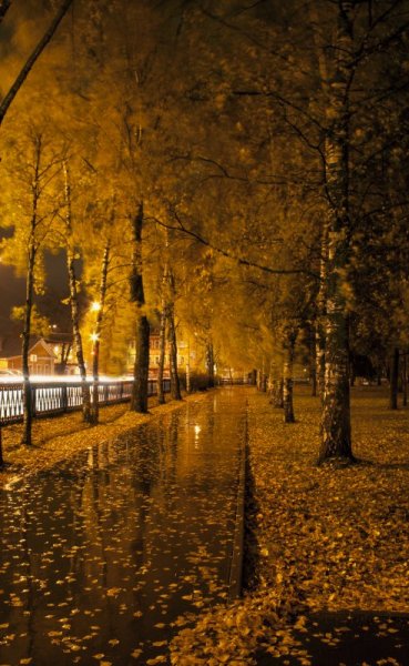 Вологда осень