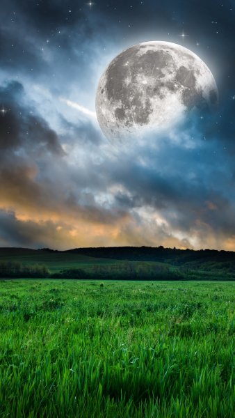 Природа в картинках