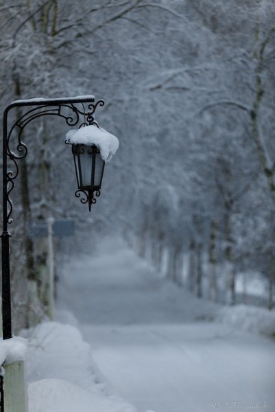 Снег фонарь