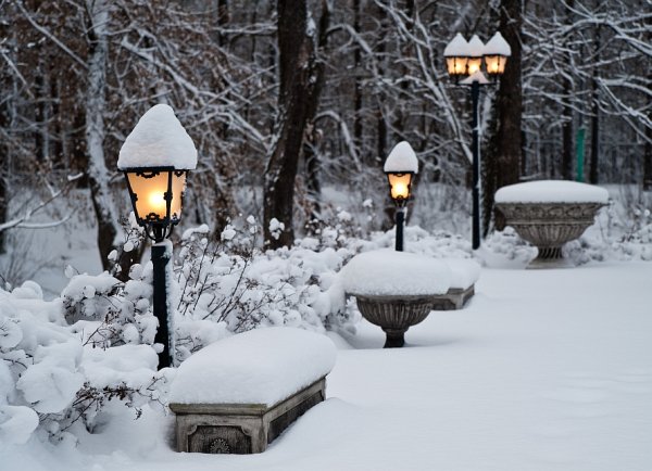 Шарль Азнавур падает снег