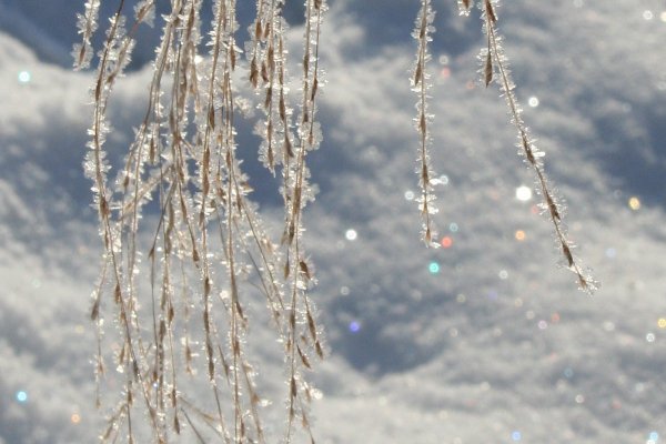 Искрящийся снег