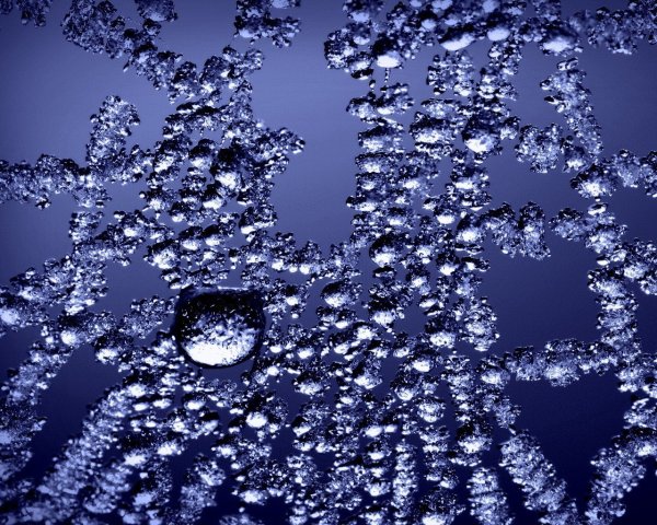 Замерзшие капли воды