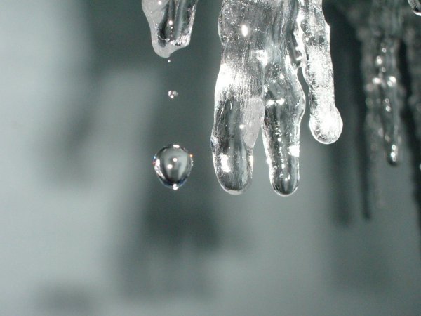 Ледяной дождь