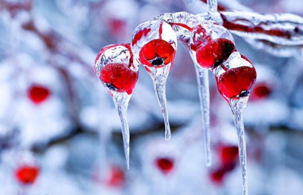 Лед в природе