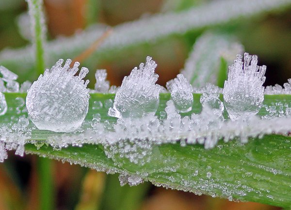 Роса и изморозь