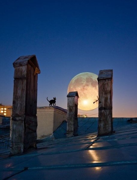 Ночь крыша Луна