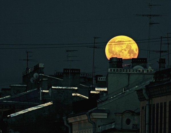 Ночь крыша Луна