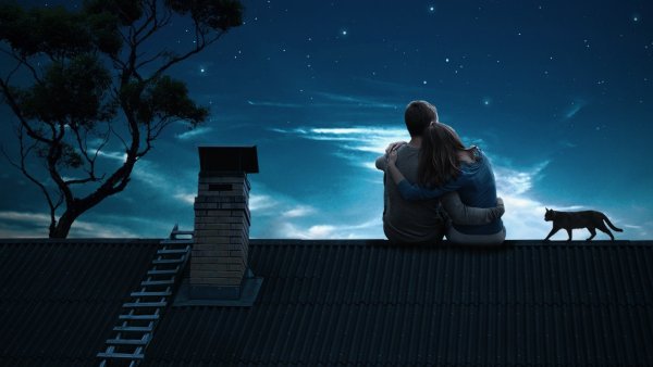 Влюбленные на крыше