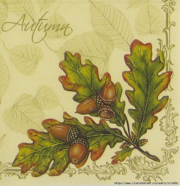 Орнамент дубовые листья и желуди