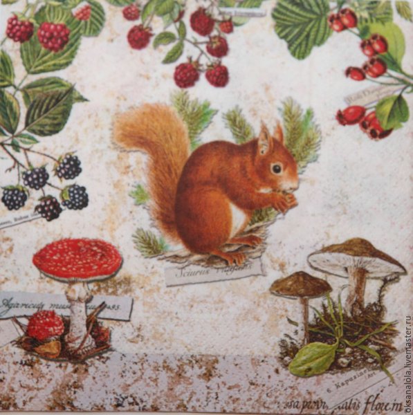 Салфетки для декупажа Белочка