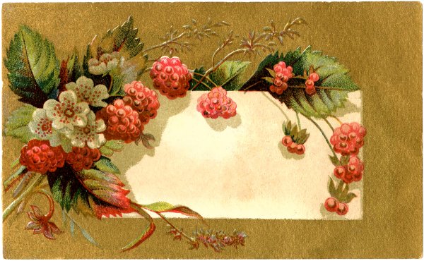 Открытки Винтажные малина