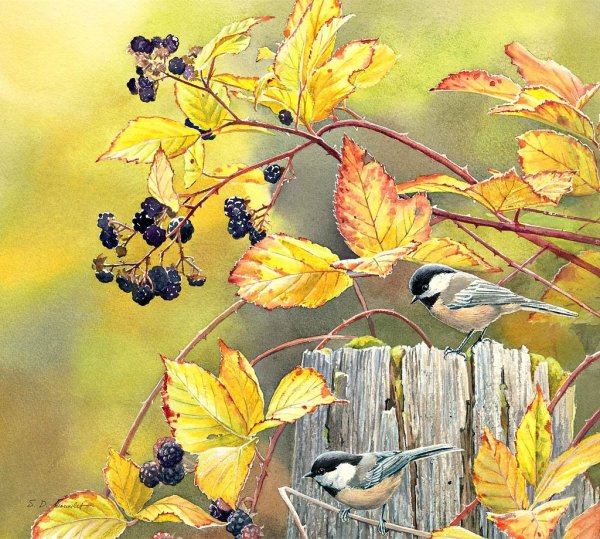 Художник Сьюзен Бордет Susan Bourdet