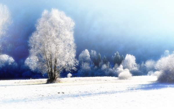 Зимний пейзаж с туманом