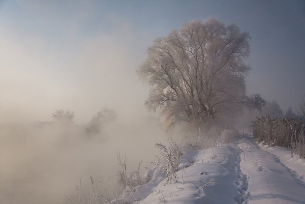 Туман зимой
