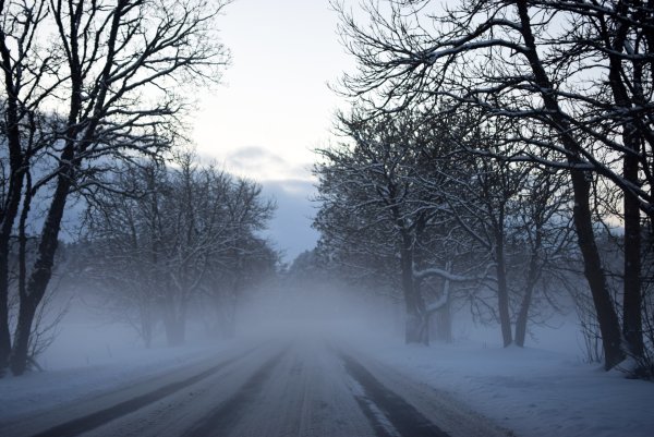 Снежный туман