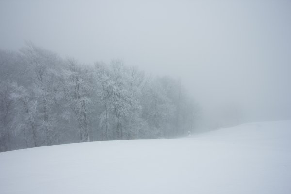 Снежный туман