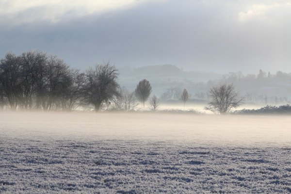 Зимний пейзаж с туманом