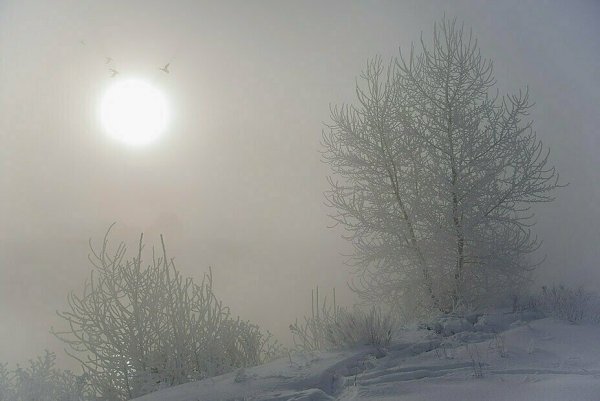 Морозная дымка