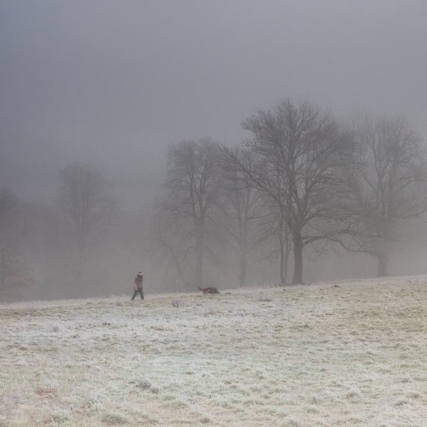 Туманное зимнее утро