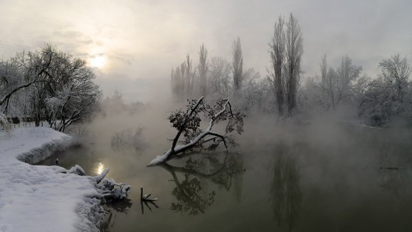 Зимний пейзаж с туманом