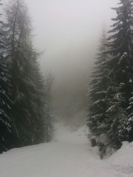 Туман зимой