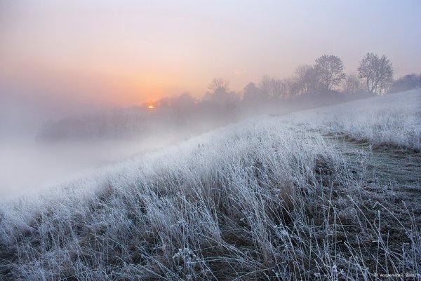 Утренний туман