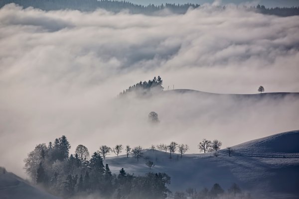 Заснеженные горы в тумане