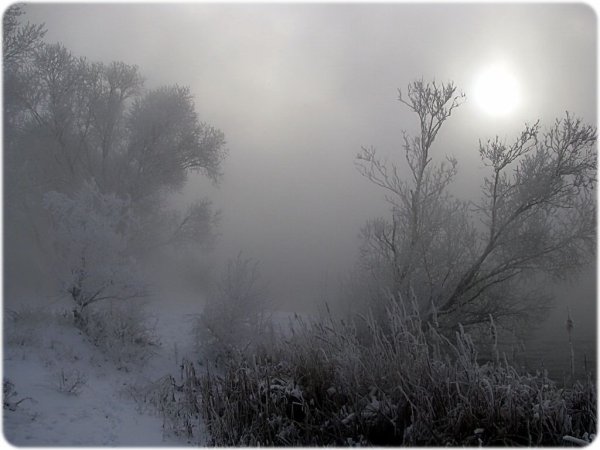 Снежный туман