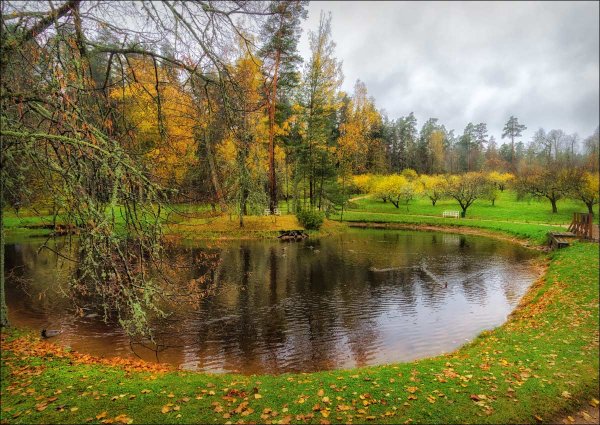 Осенний пруд