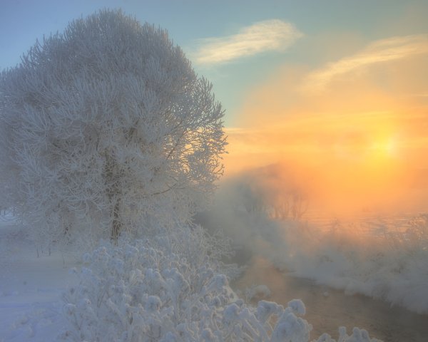 Солнце в тумане зимой