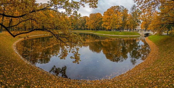 Осень пруд