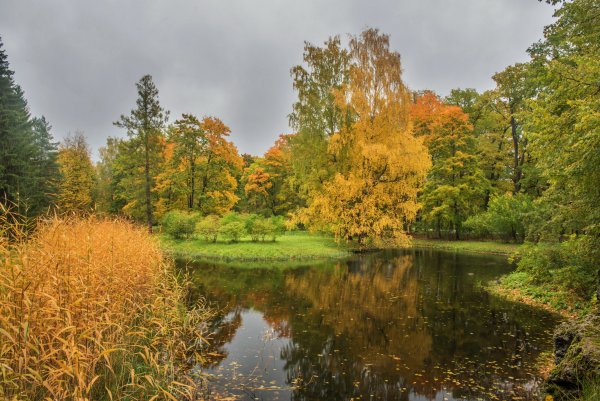 Природа осень