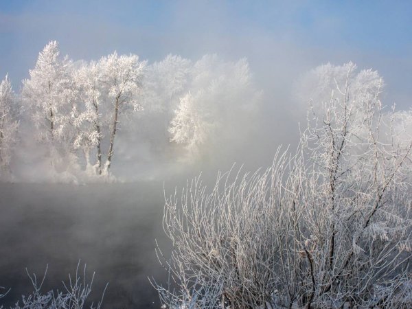 Зимние явления в природе изморозь