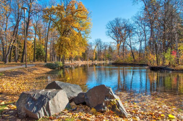 Кузьминки парк булыжник осень