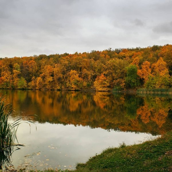 Пруд Ударник Саратов