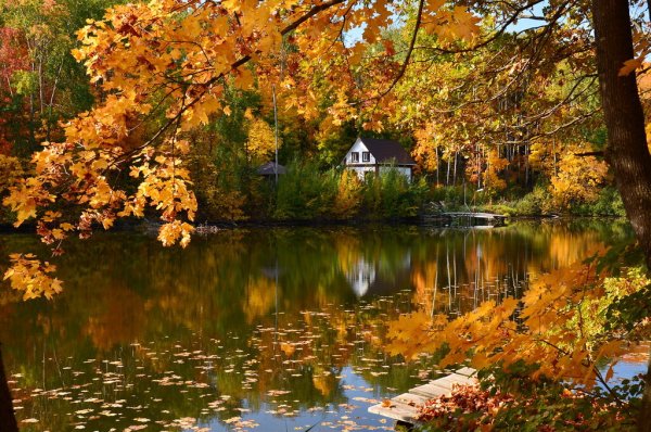 Золотая осень