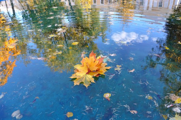 Осень отражение в воде