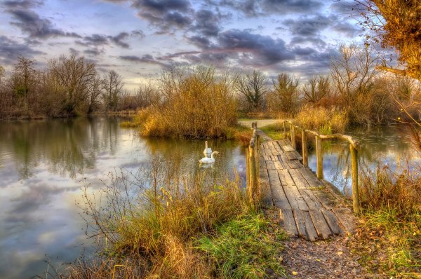 Пейзаж с мостиком