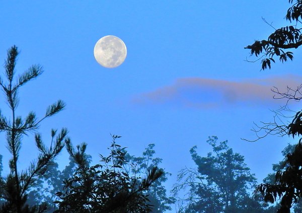 Луна днем на небе