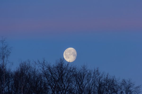 Луна на утреннем небе