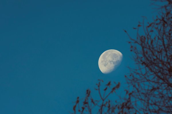 Чистая Луна