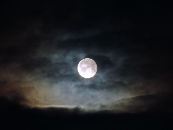 Утренняя Луна фото