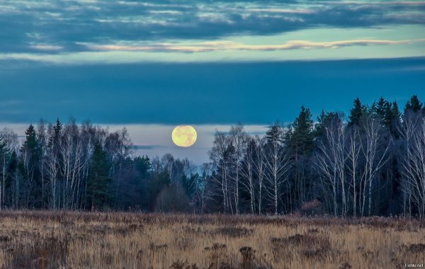 Луна на утреннем небе